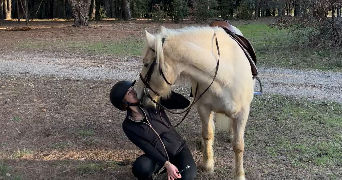 thelma pet sitter à MONTPELLIER 34000_0