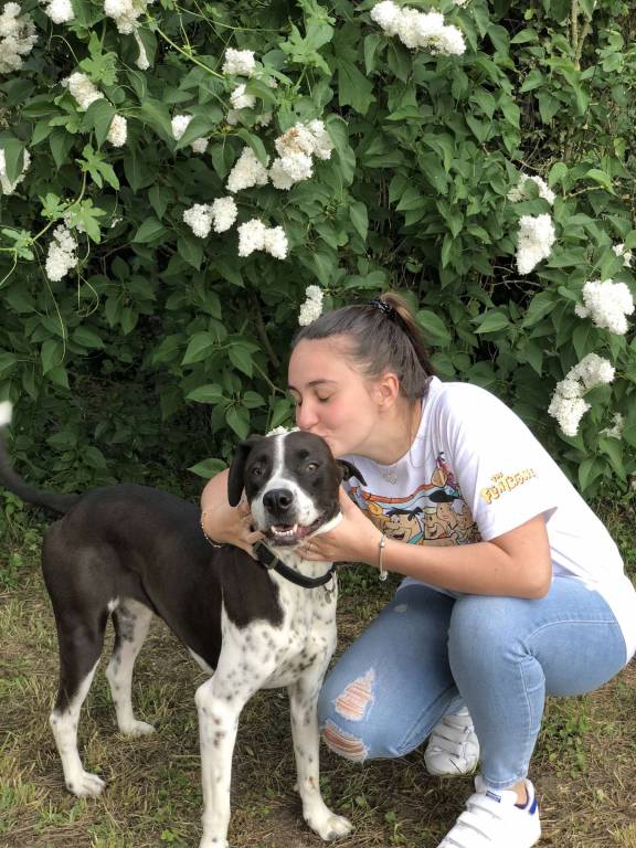 Claire pet sitter à Loos-en-Gohelle 62750