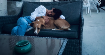 morgane pet sitter à BUC 78530_6