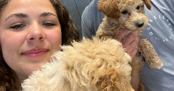 alice pet sitter à GERMIGNY L EVEQUE 77910_2