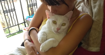 celia pet sitter à MARSEILLE 10 13010_4
