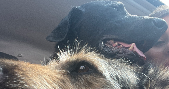 maëlane pet sitter à PARIS 18 75018_2