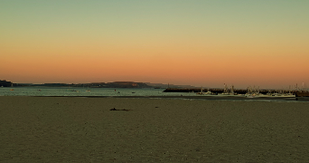 merryl pet sitter à QUIMPER 29000_0