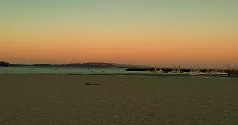 merryl pet sitter à QUIMPER 29000