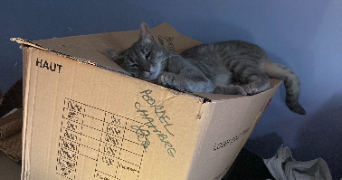 léa pet sitter à TOULON 83200_5