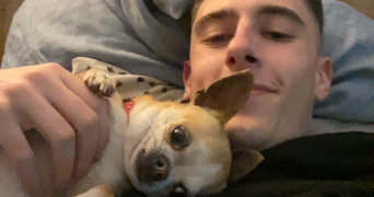 enzo pet sitter à CIBOURE 64500_1