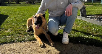 victor pet sitter à GOURNAY SUR MARNE 93460_1