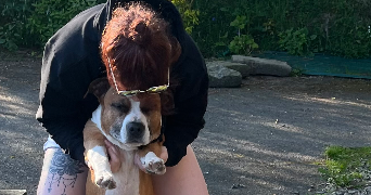 celine pet sitter à CONDE EN NORMANDIE 14110_0