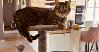 muriel  pet sitter à Beauvais 60000_1
