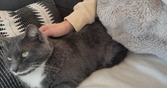 janet cat sitter à BOULOGNE BILLANCOURT 92100_1
