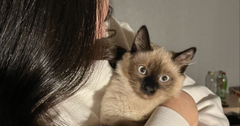 ikram cat sitter à PARIS 13 75013_1