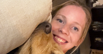 guillemette pet sitter à LAGARDELLE SUR LEZE 31870_3