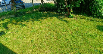 izett pet sitter à LEUVILLE SUR ORGE 91310_2