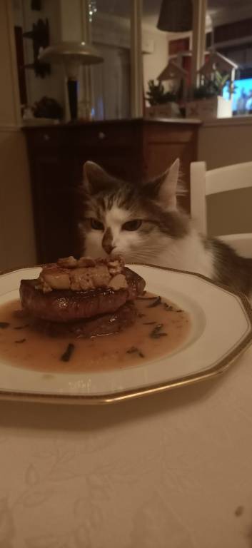 emiliejosse pet sitter à Courbevoie 92400_0