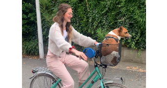 ambre pet sitter à BORDEAUX 33800_2