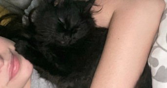 manon pet sitter à ANTONY 92160_2