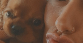 justine pet sitter à SOLLIES PONT 83210