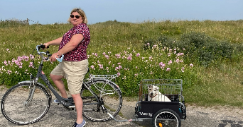 pacome dog sitter à TINCHEBRAY BOCAGE 61800_0