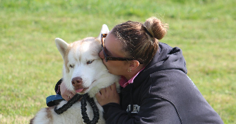 sanah pet sitter à LE PLESSIS BOUCHARD 95130_3