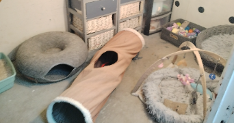 renquin  pet sitter à BEUGNIES 59216_3