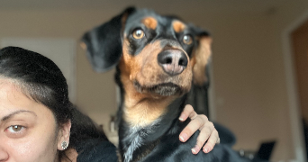 nina pet sitter à ST BREVIN LES PINS 44250_2