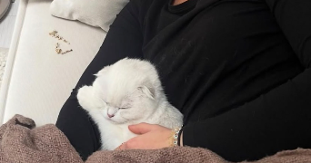 naya pet sitter à BOURG LA REINE 92340_1