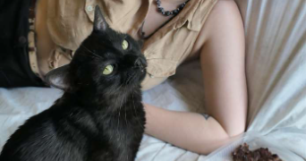 elisa pet sitter à TOULOUSE 31200_1