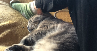lucile pet sitter à Bordeaux 33100_1