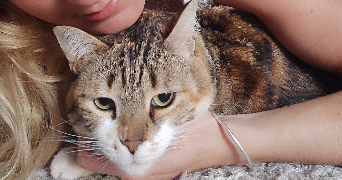 Marion pet sitter à Tarbes 65000_2