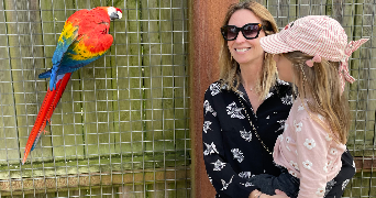 morgane pet sitter à BRUGES 33520_5