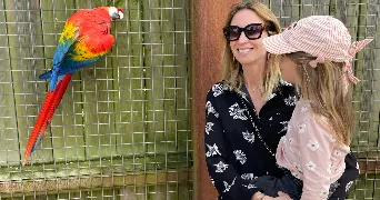 morgane pet sitter à BRUGES 33520