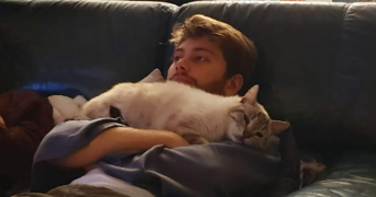 thibaut pet sitter à NEMOURS 77140_2