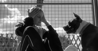 léna pet sitter à LIFFRE 35340_0