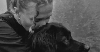 victoria pet sitter à GUICHEN 35580