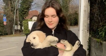 charlotte pet sitter à AIX LES BAINS 73100_0
