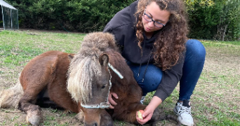 perrine pet sitter à BORAN SUR OISE 60820_1