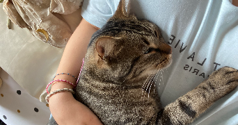 elisa pet sitter à ST MESMES 77410_2