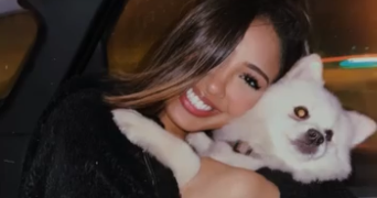 tattou pet sitter à VANVES 92170_1