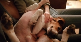 morgane pet sitter à PARIS 13 75013_3