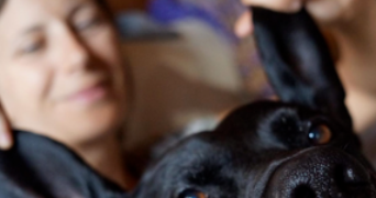 pascaline pet sitter à PASSY 74190_1