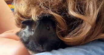 marine pet sitter à DIJON 21000_2