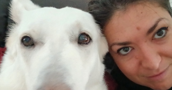 axelle pet sitter à LAMBERSART 59130_7