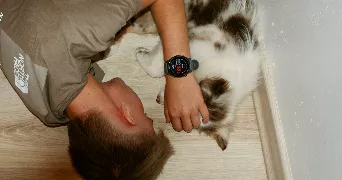 hugo pet sitter à FLACHERES 38690