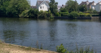 krystal dog sitter à Roissy en brie 77680_2