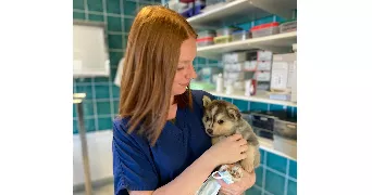 audrey pet sitter à Chanteau 45400