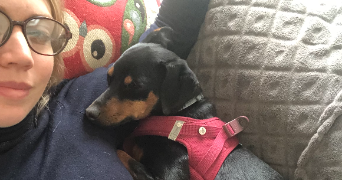 pauline pet sitter à CHAVENAY 78450_7