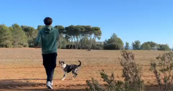 clément  pet sitter à Valenciennes 59300_1