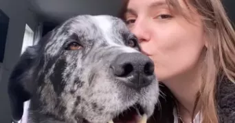 julie pet sitter à CHAPAREILLAN 38530