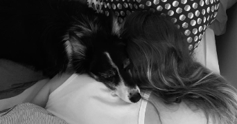 solenne pet sitter à SARTROUVILLE 78500_1
