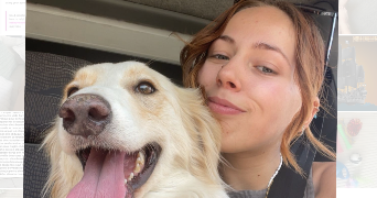 ilona pet sitter à MARSSAC SUR TARN 81150_0